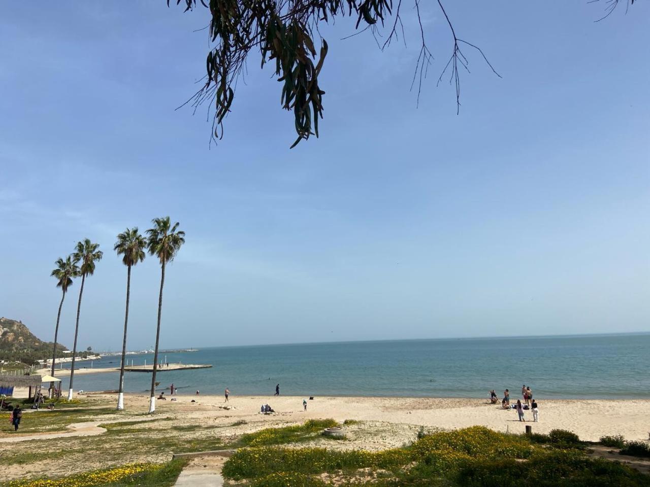 Marsa-Sidi Bousaid Cosy Authentic Apartment ลาร์มาร์ซา ภายนอก รูปภาพ